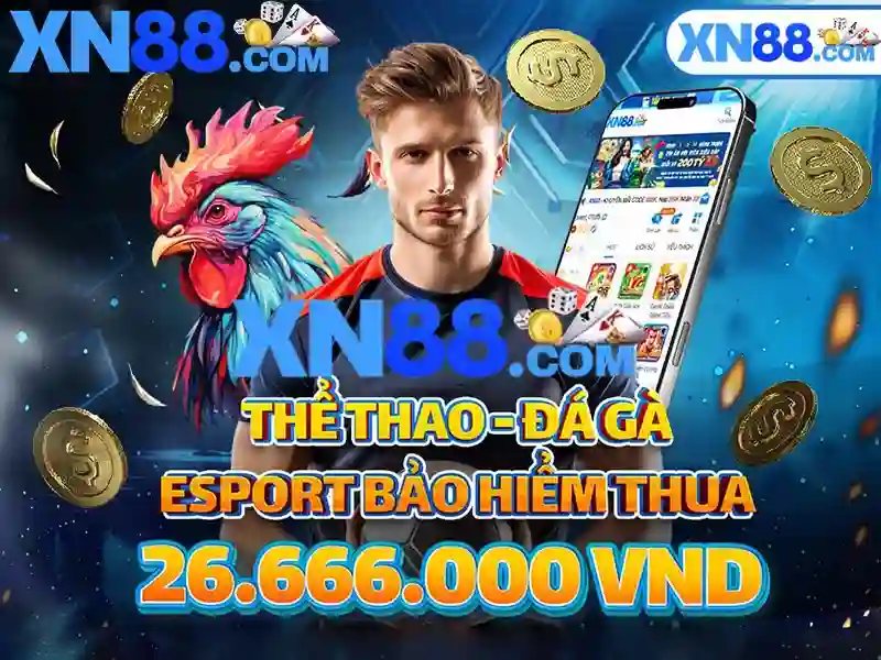 Kết luận và khuyến nghị