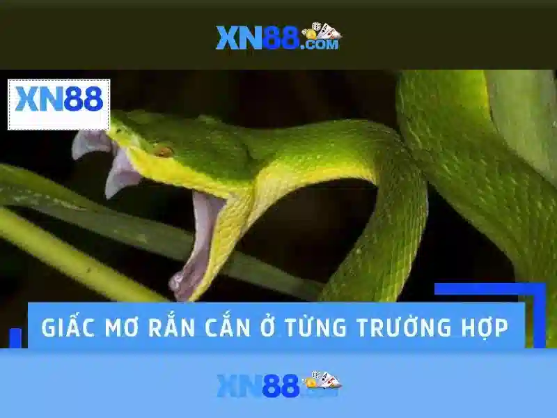 Giới thiệu về xn88