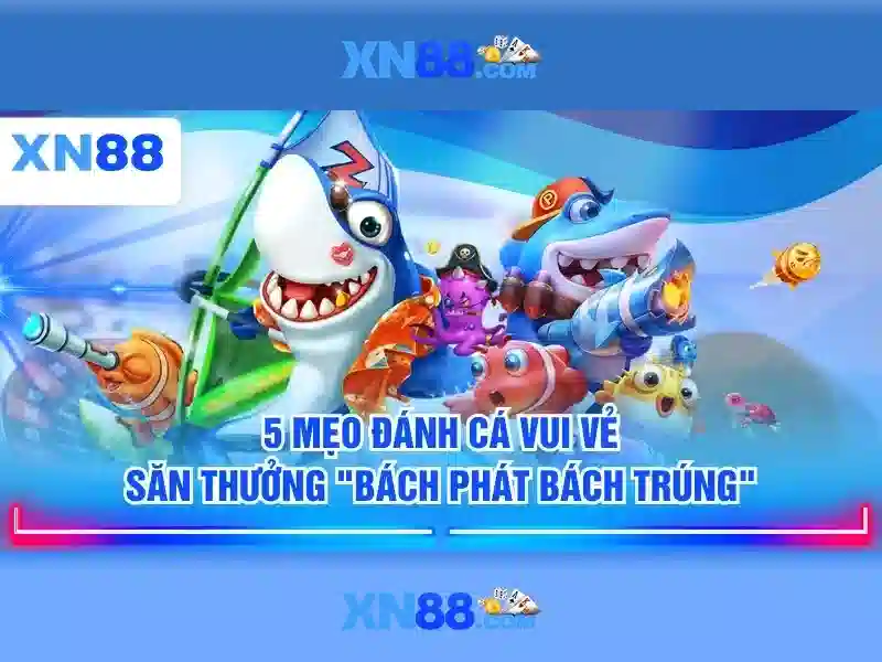 Giới thiệu về xn88