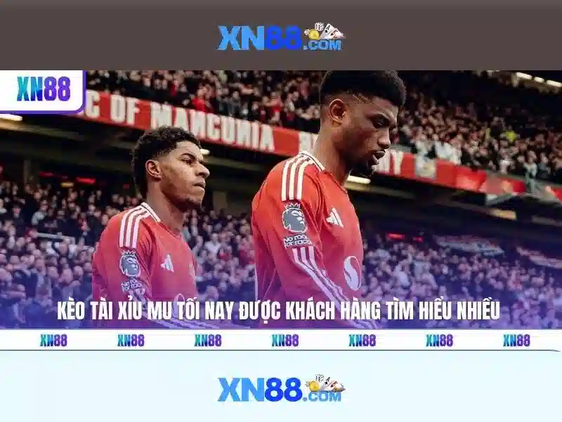 Lịch sử và sự phát triển của XN88
