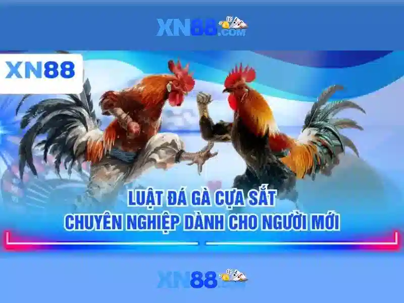 Giới thiệu về xn88