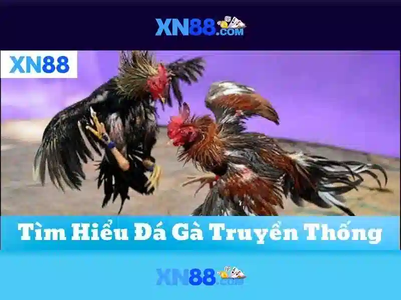 Ứng dụng và vai trò
