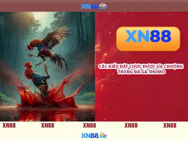 An toàn và trách nhiệm khi tham gia xn88