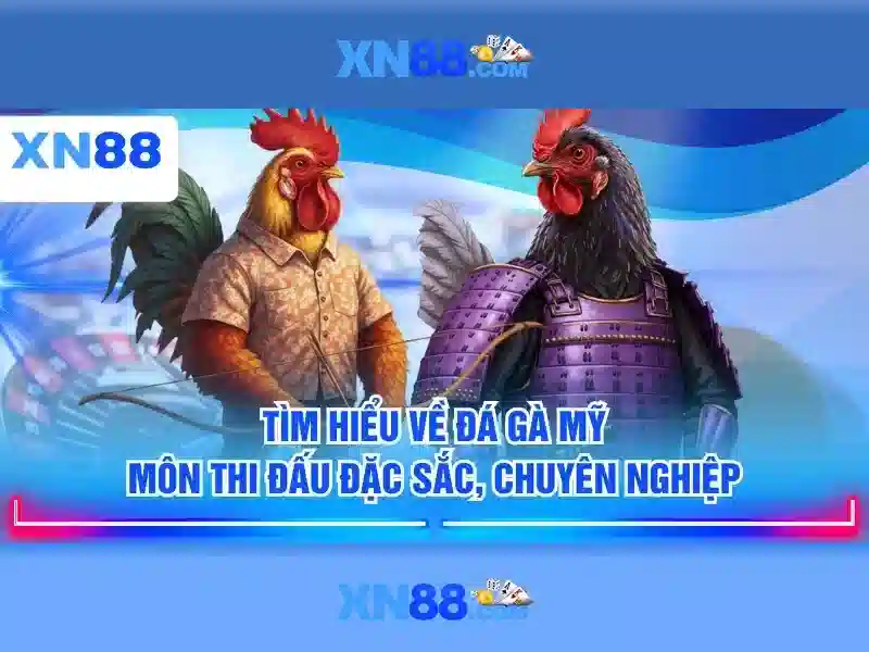 Điều kiện và an toàn Điều kiện và an toàn