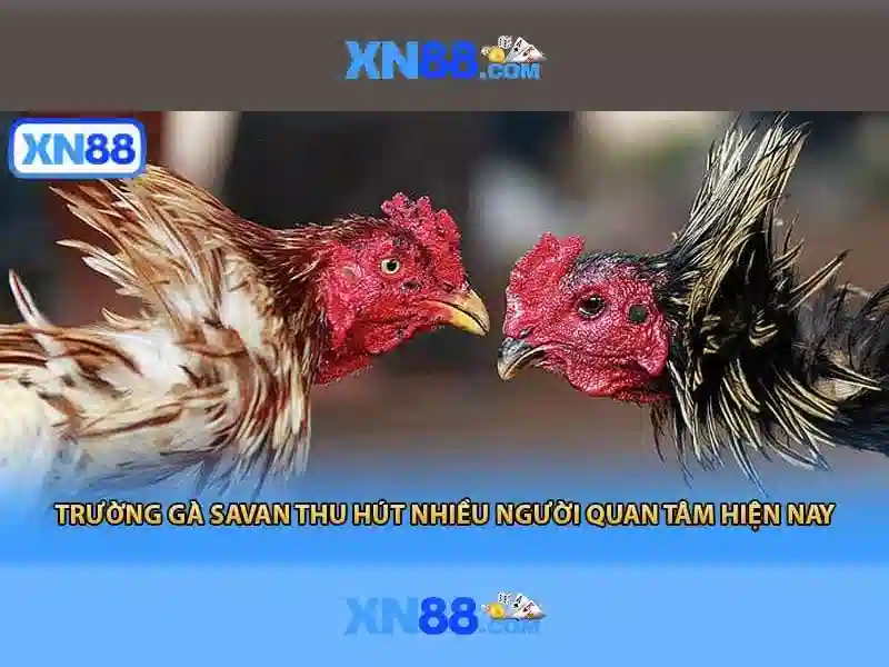 An toàn và bảo mật