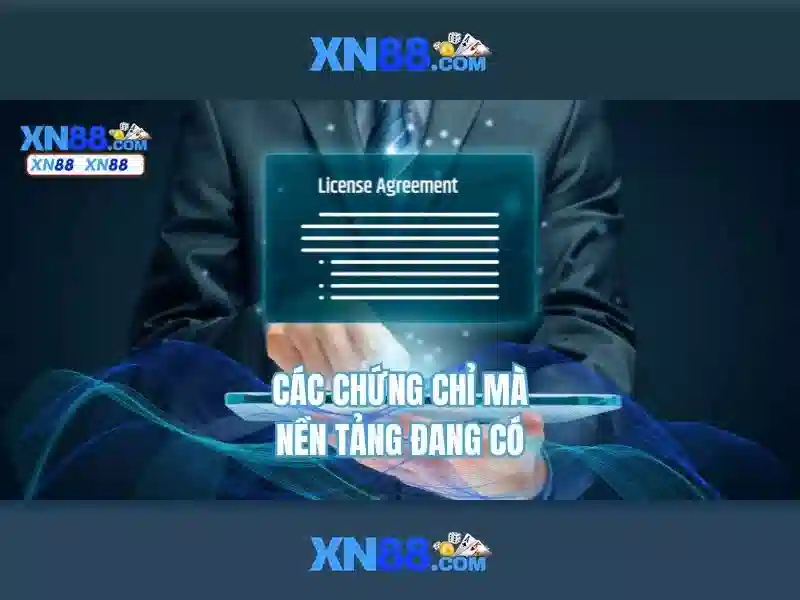 Trải nghiệm người dùng và hỗ trợ