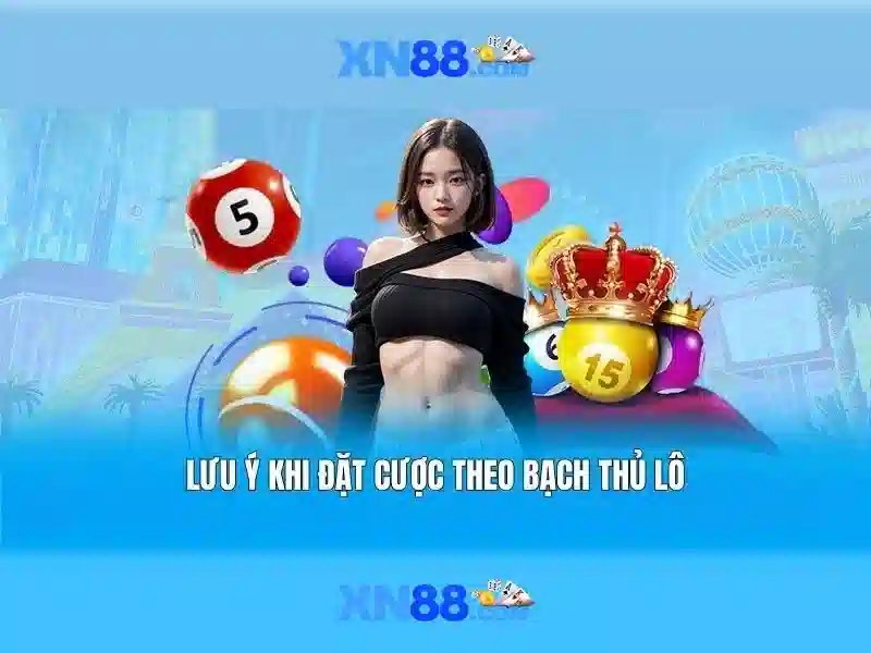 Nền tảng và trải nghiệm người dùng Nền tảng và trải nghiệm người dùng