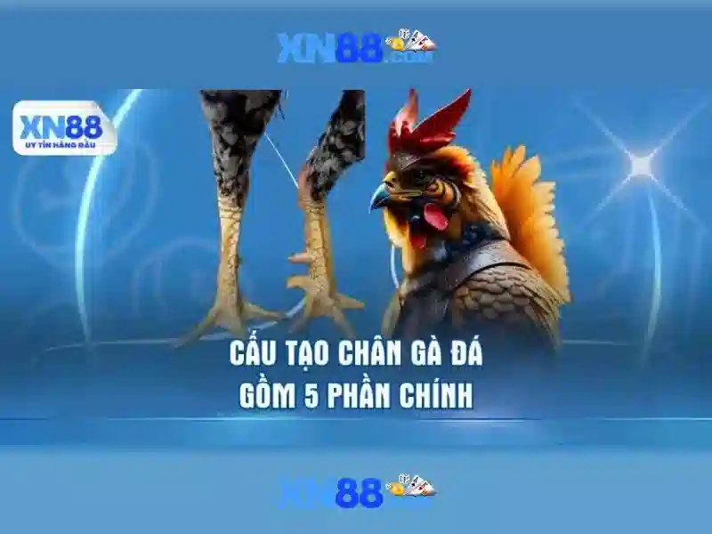 Giới thiệu xn88