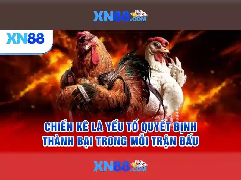 Sản phẩm và dịch vụ