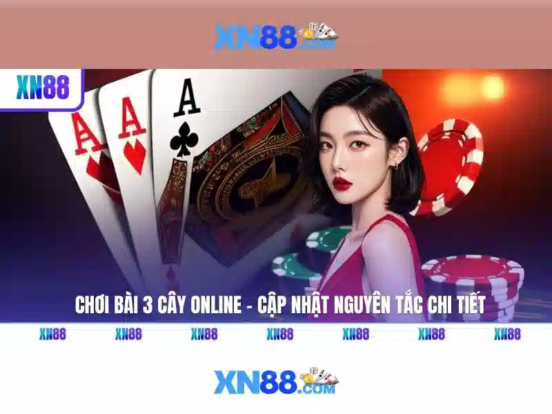 Giới thiệu về xn88