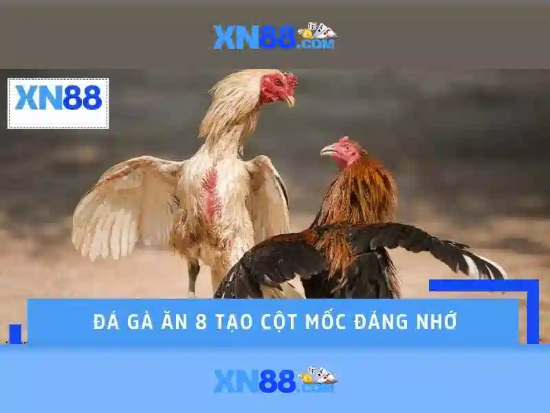 Cung cấp trò chơi và sản phẩm Cung cấp trò chơi và sản phẩm