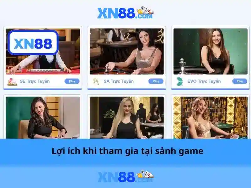 Giao diện và trải nghiệm người dùng