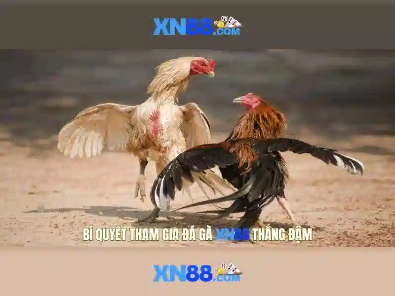 Đặc điểm nổi bật Đặc điểm nổi bật