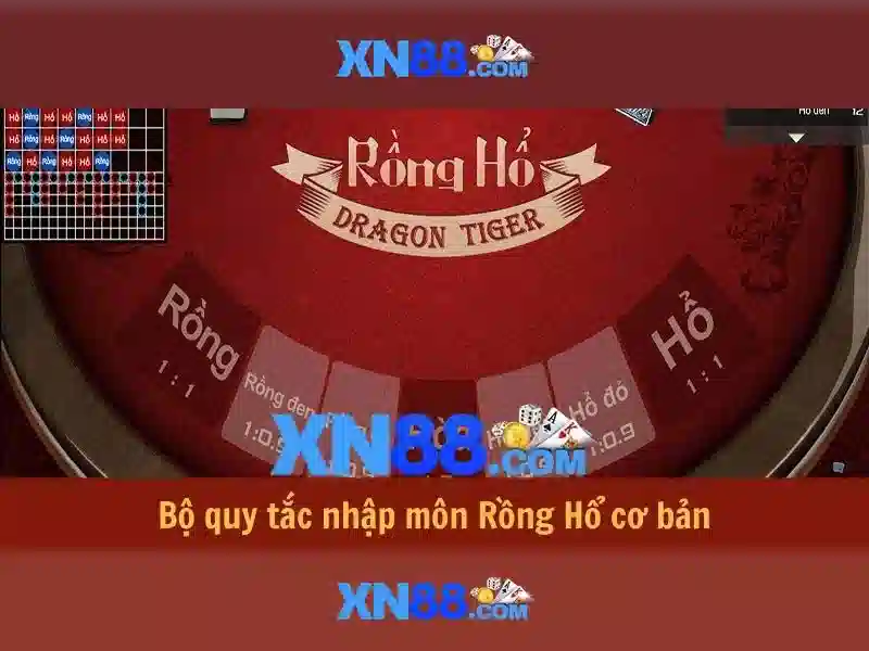 Lịch sử và nguồn gốc của xn88