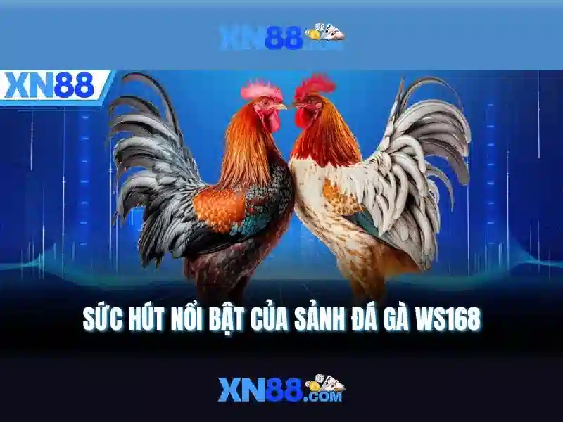 Việt Vị Trong Bóng Đá