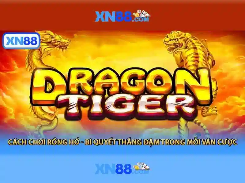 Giao diện và trải nghiệm người dùng