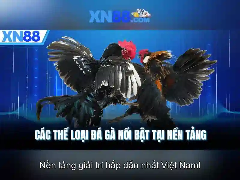 Lịch sử và nguồn gốc của xn88 Lịch sử và nguồn gốc của xn88