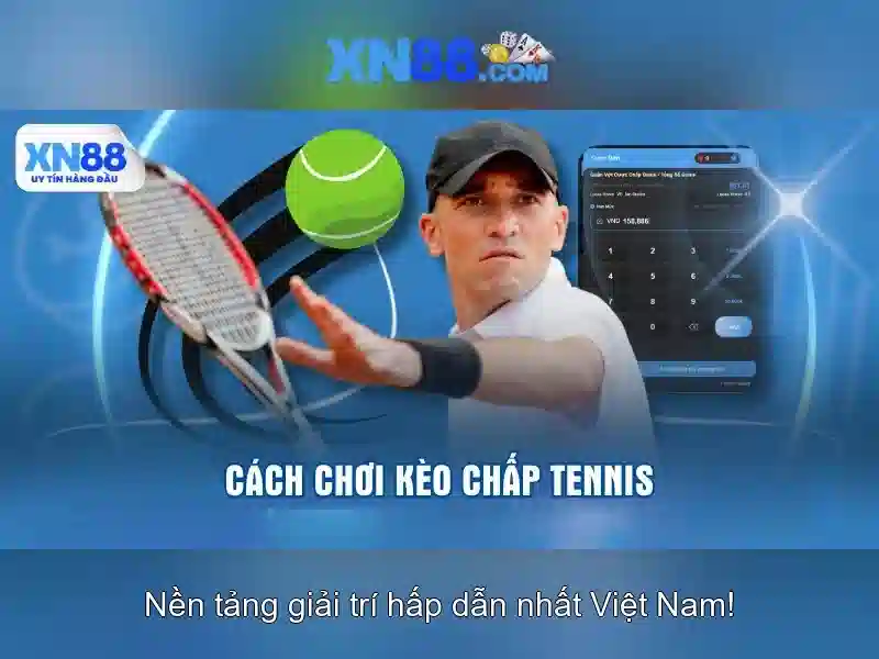 Các lưu ý pháp lý và tuân thủ