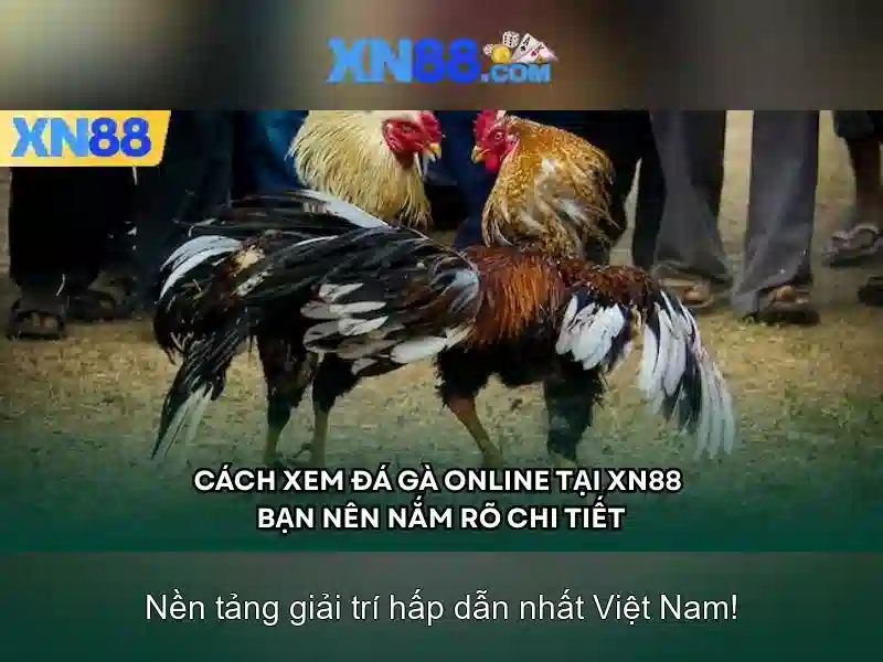 Nha-cai-uy-tin