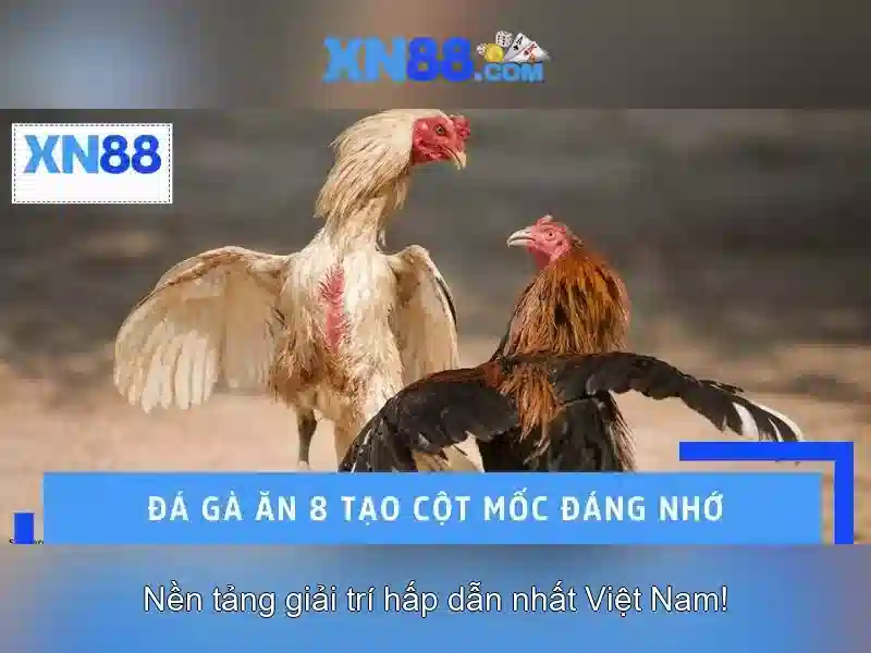 Cách hoạt động và các sản phẩm Cách hoạt động và các sản phẩm
