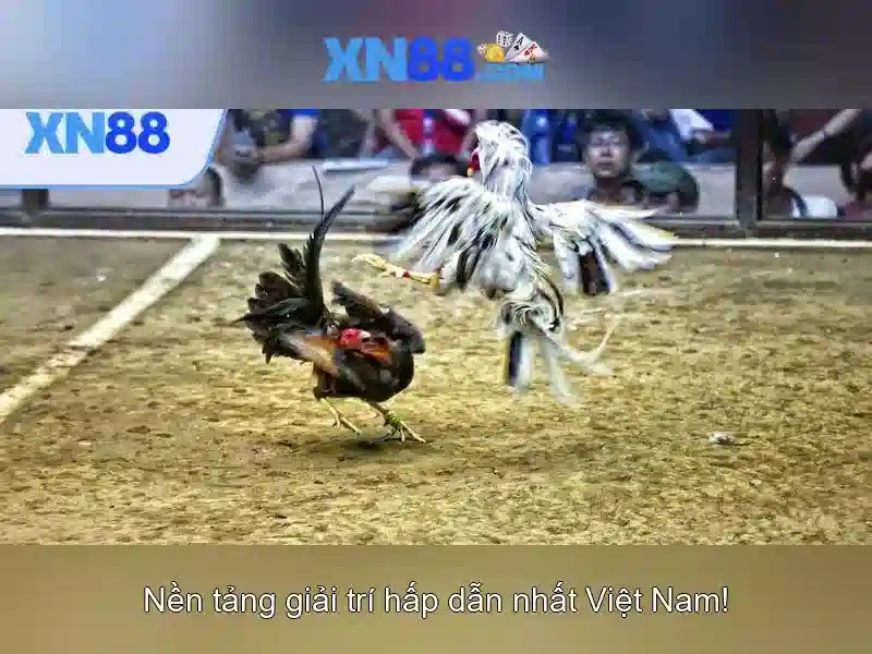 tuong_tac_nguoi_choi 