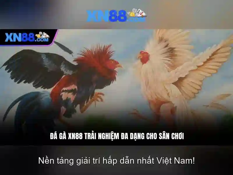 Việt Vị Trong Bóng Đá