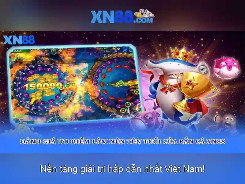 Dịch vụ và sản phẩm