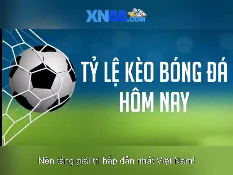 Trải nghiệm người dùng và giao diện Trải nghiệm người dùng và giao diện