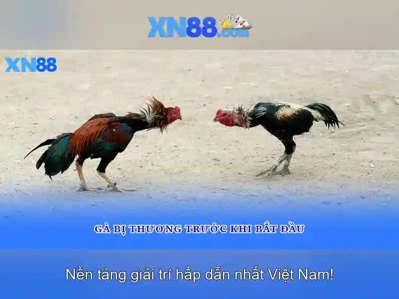 An toàn và trách nhiệm khi tham gia xn88