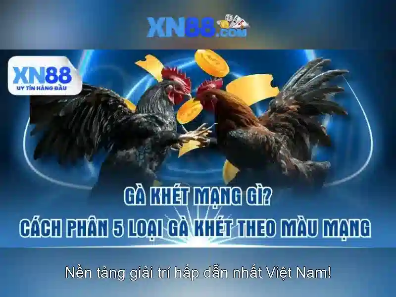 Tính năng nổi bật và ứng dụng của xn88 Tính năng nổi bật và ứng dụng của xn88