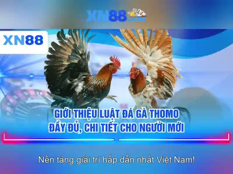 Giới thiệu về xn88