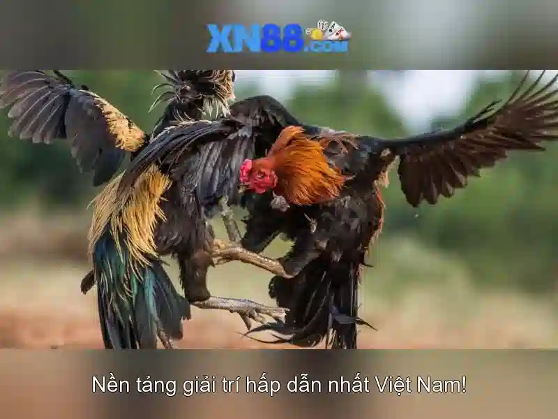 Minh-hoa-xn88