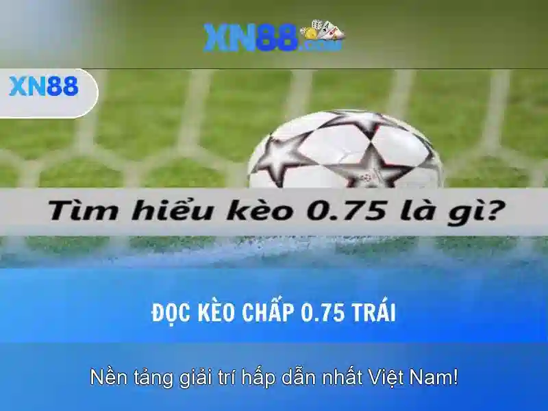 Nền tảng và trải nghiệm người dùng