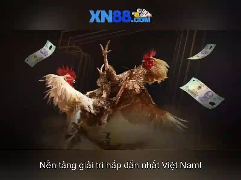 Việt Vị Trong Bóng Đá