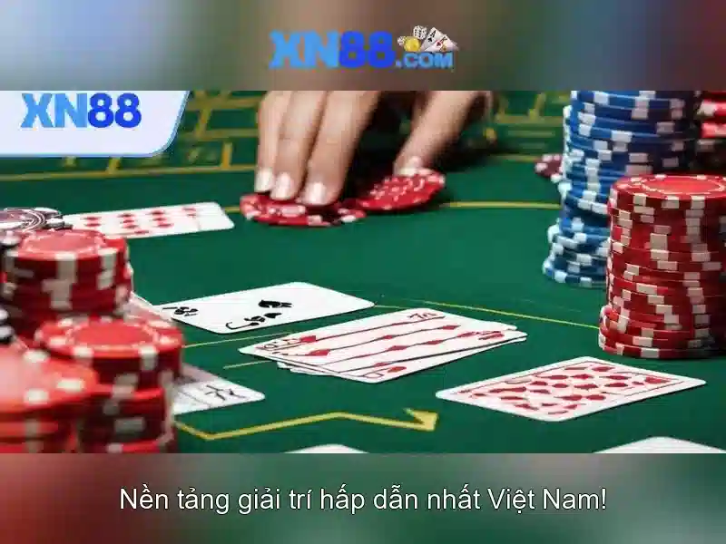 Hỗ trợ khách hàng và trải nghiệm người dùng