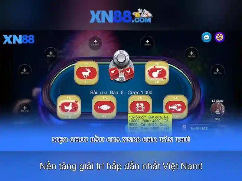 Các trò chơi phổ biến Các trò chơi phổ biến
