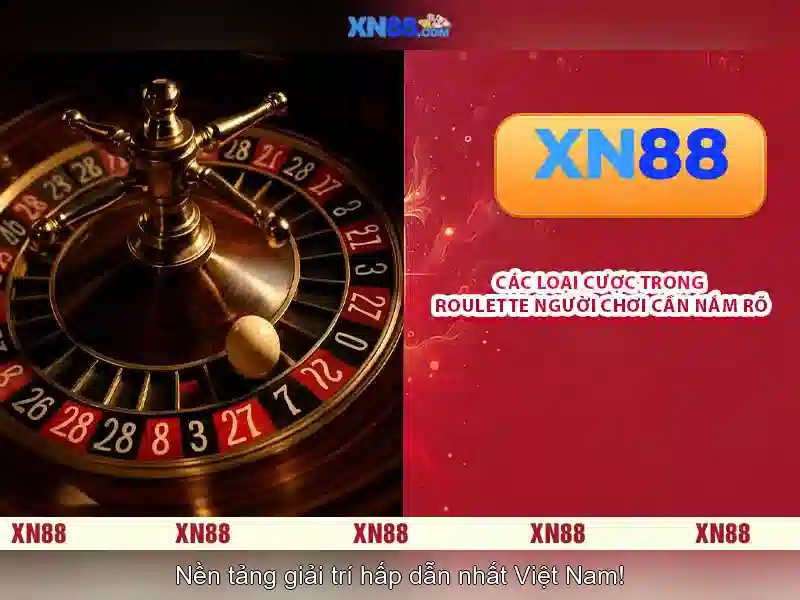 Giới thiệu về xn88