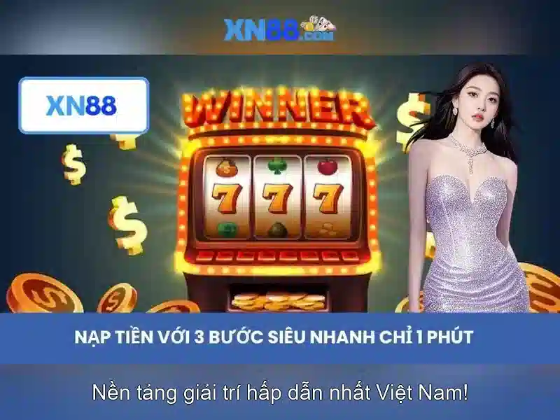 Lĩnh vực cung cấp