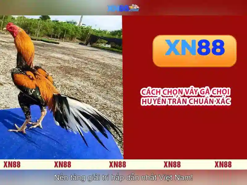An toàn và bảo mật