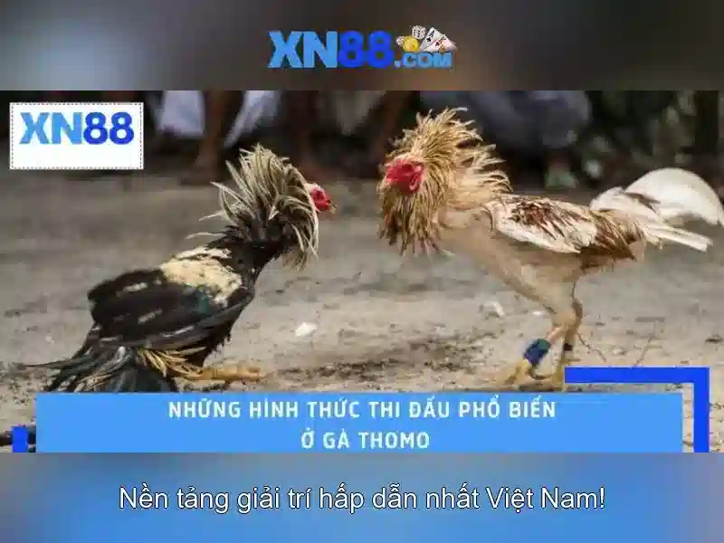 Lịch sử và đặc điểm