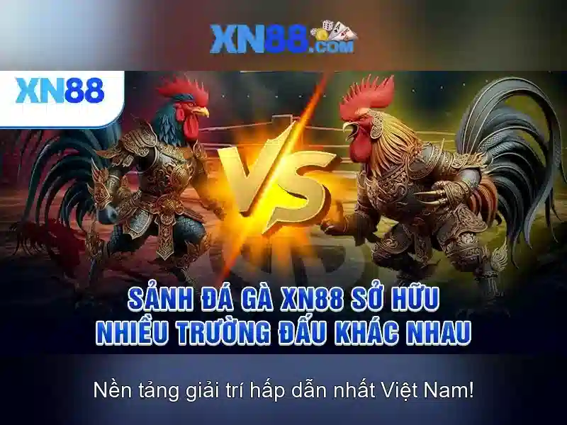 Định nghĩa về xn88 Định nghĩa về xn88
