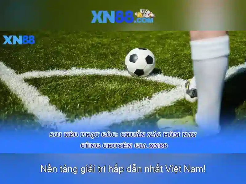 Các tính năng nổi bật