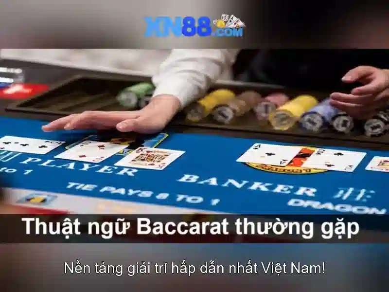Giới thiệu xn88