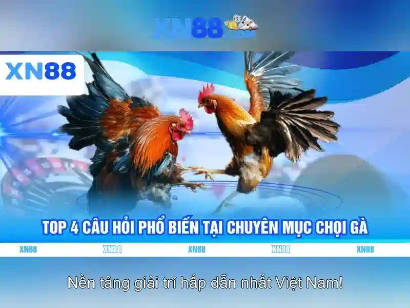 Công cụ và hỗ trợ