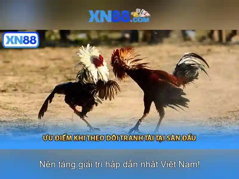 Việt Vị Trong Bóng Đá