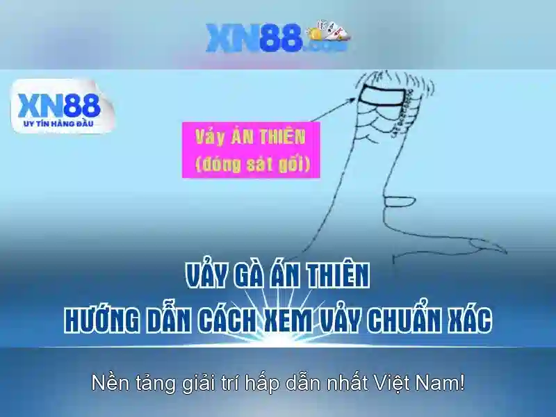 Hướng dẫn tham gia và chơi