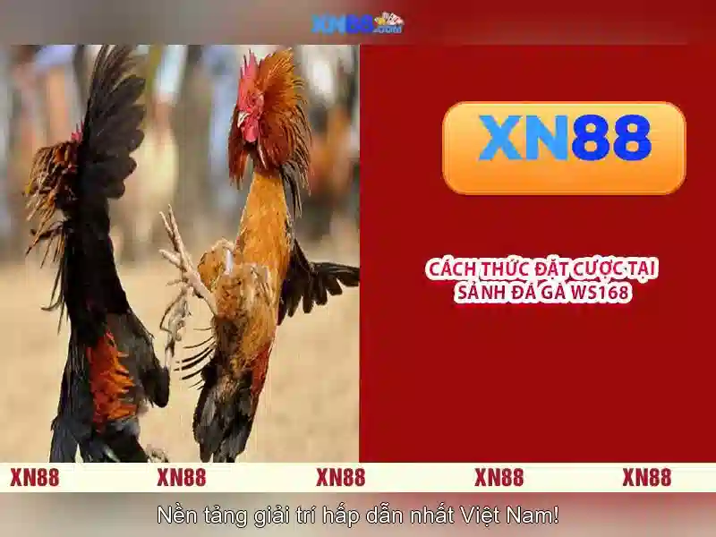 Cảnh báo những sai lầm thường gặp khi nạp tiền vào nhà cái trực tuyến