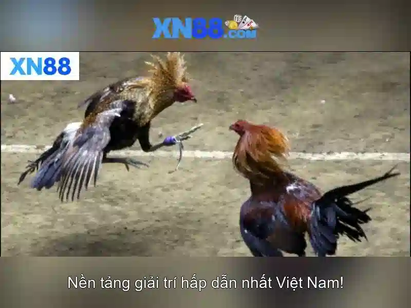 Việt Vị Trong Bóng Đá