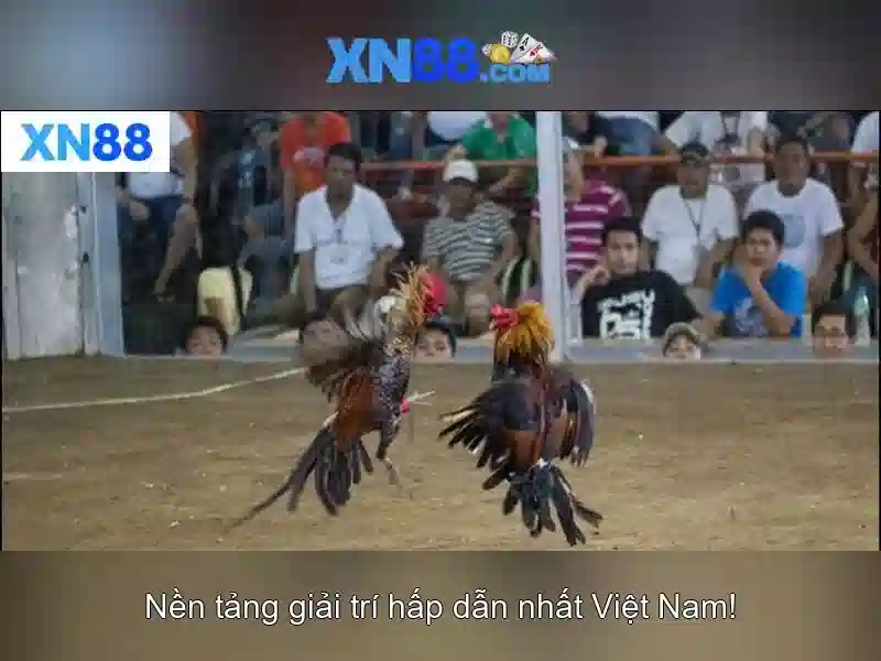 Việt Vị Trong Bóng Đá