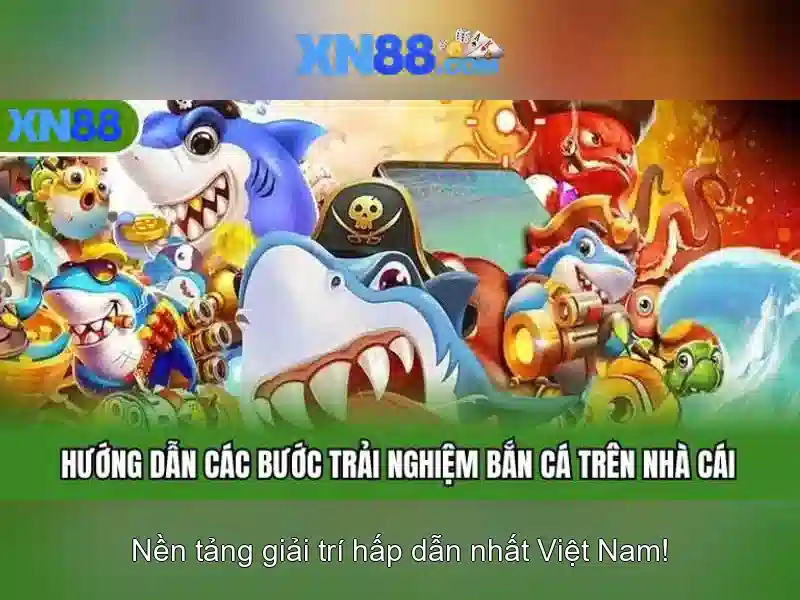 Lưu ý và mẹo chơi đúng đắn